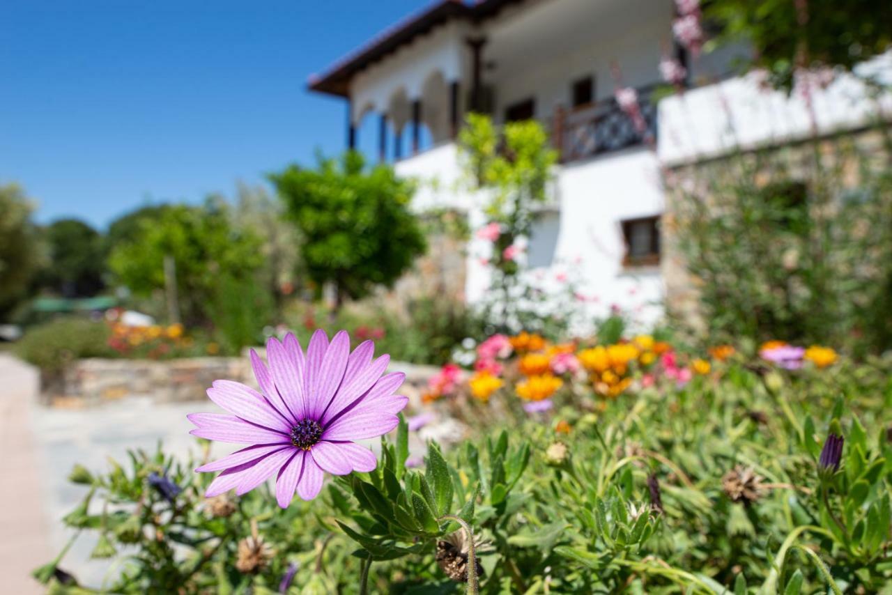 Garden House Psarogiannis Apartment วูร์วูรู ภายนอก รูปภาพ